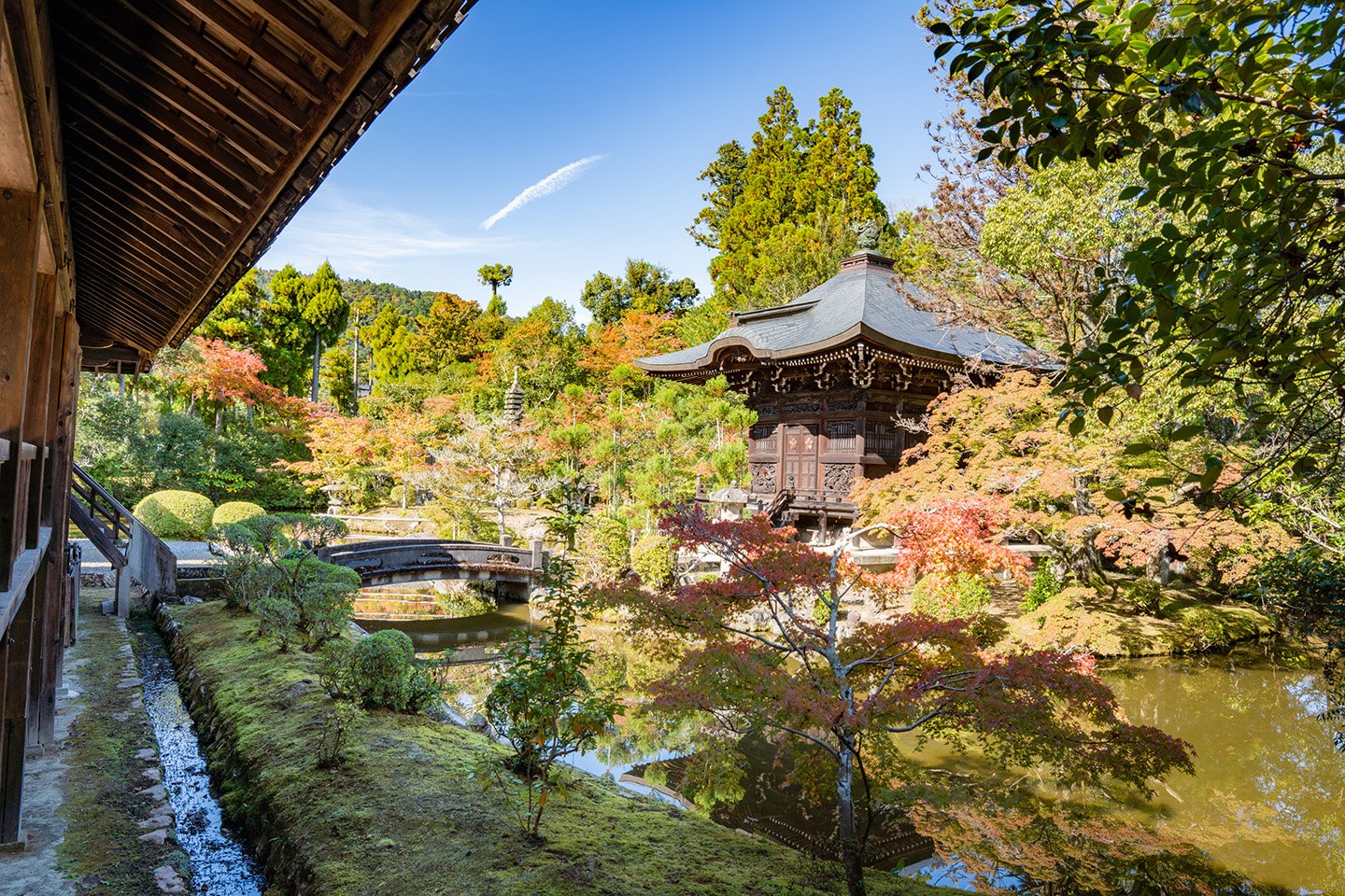 🏯 청량사(세이료지) 이미지 4