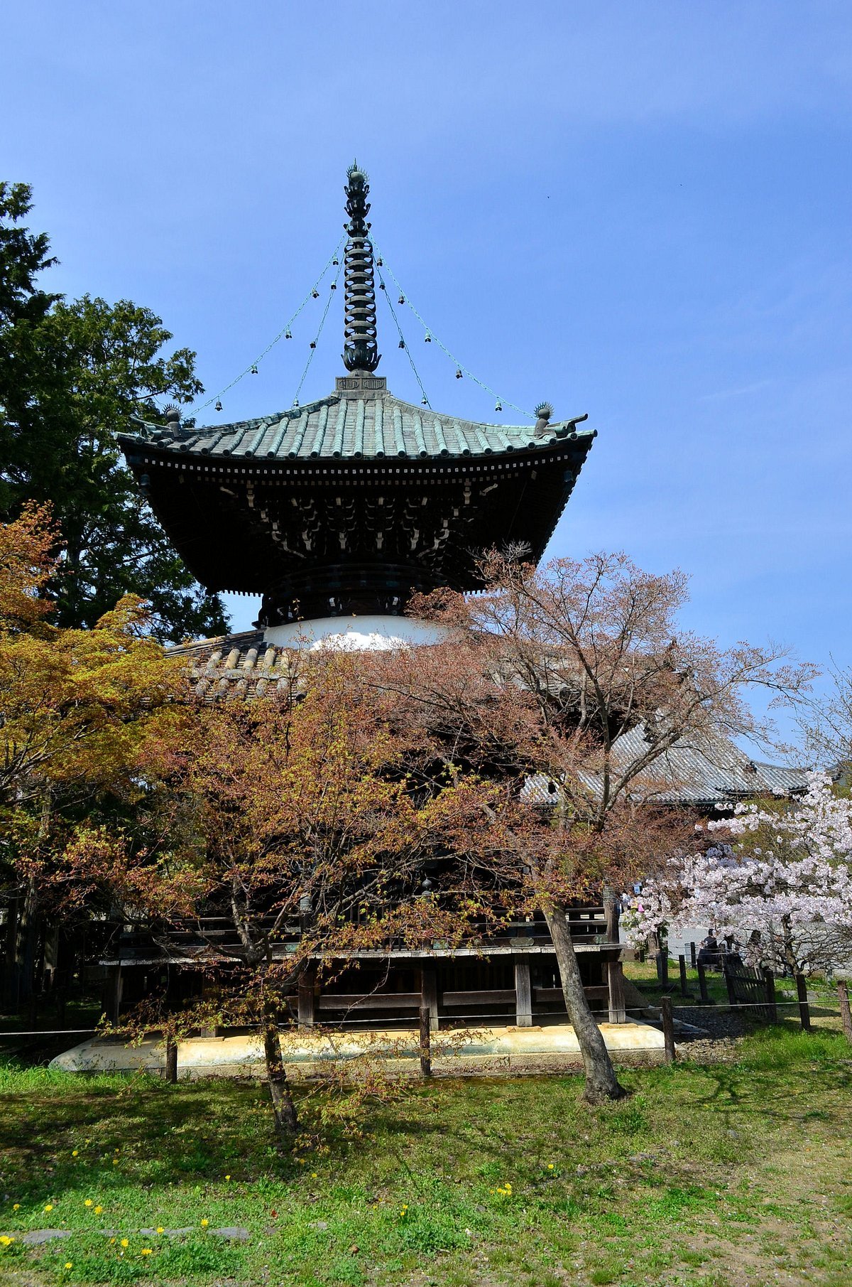 🏯 청량사(세이료지) 이미지 5