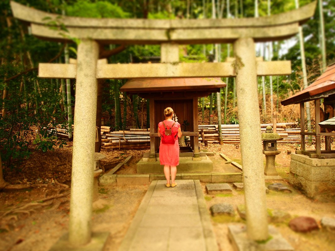 ⛰️ 쿠라마데라 (鞍馬寺) 이미지 5