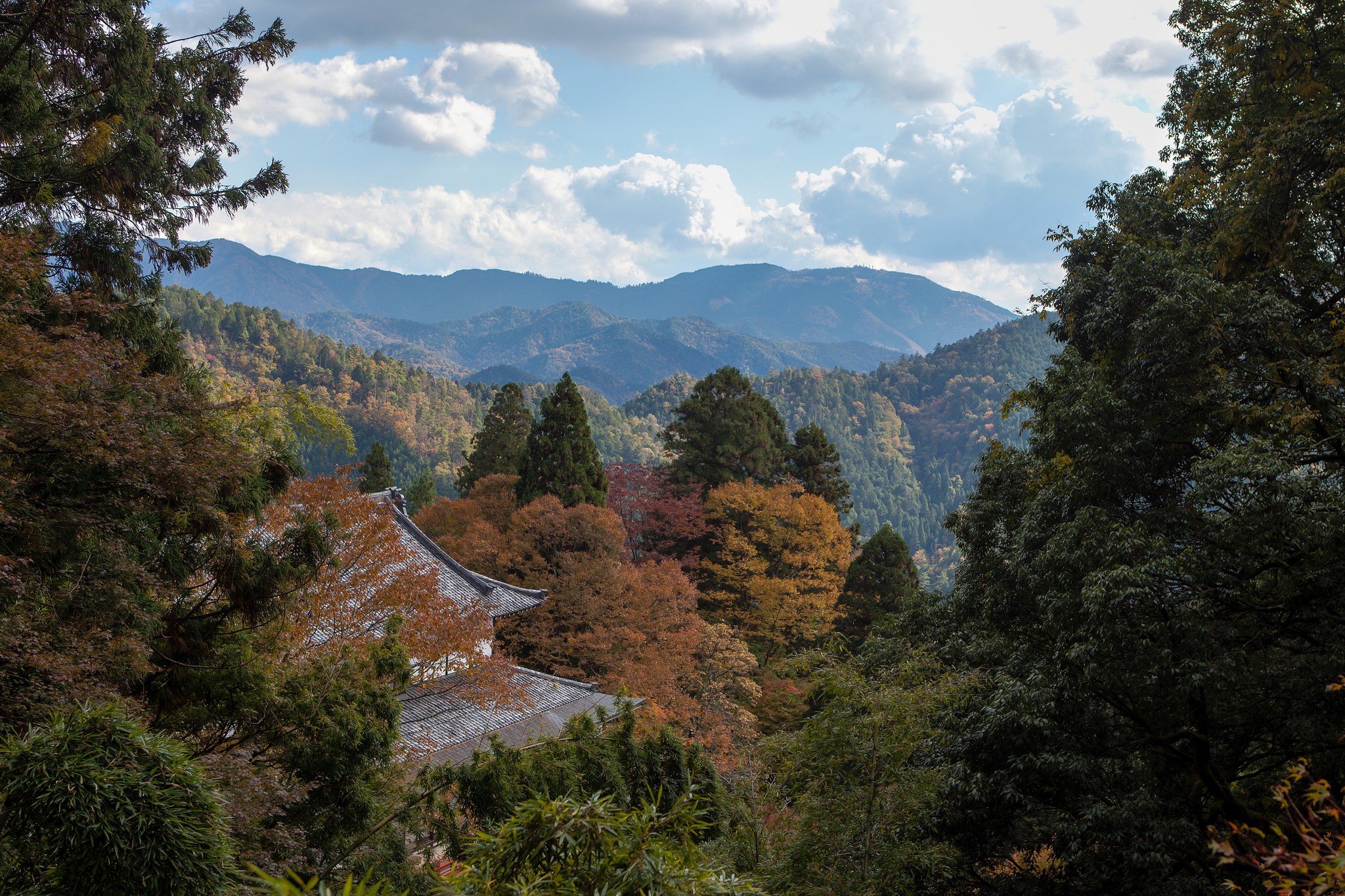 ⛰️ 쿠라마데라 (鞍馬寺) 이미지 6