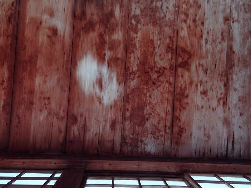 🏯 호센인 이미지 4