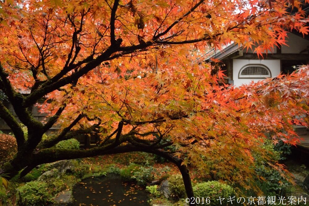 🏯 호센인 이미지 9