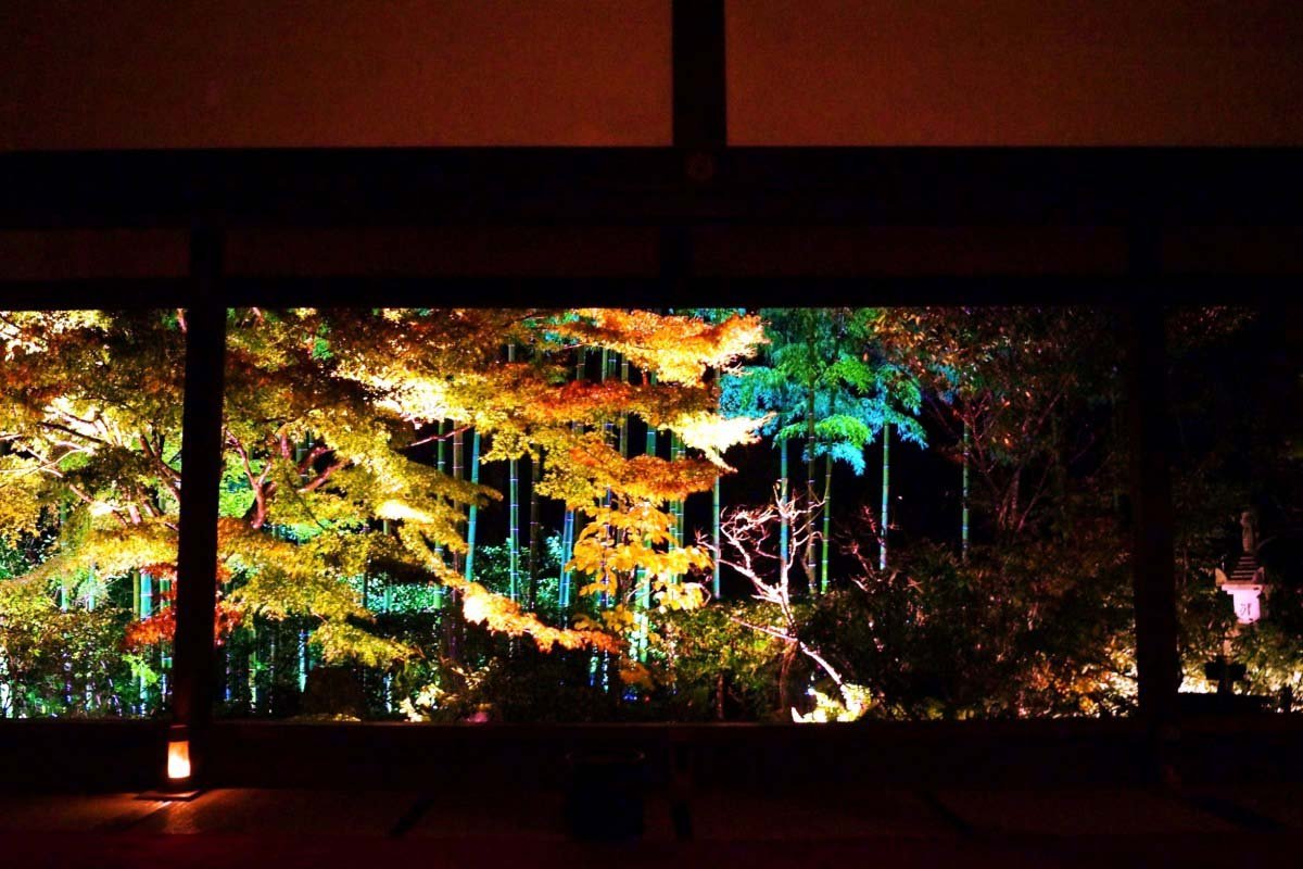 🏯 호센인 이미지 10