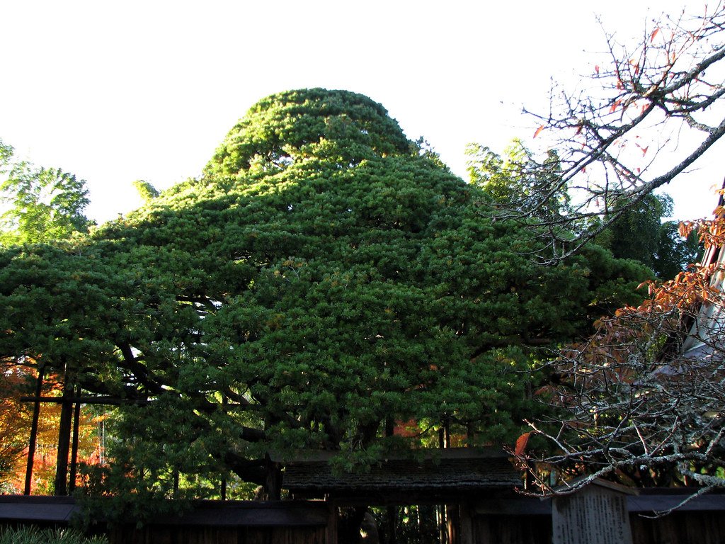 🏯 호센인 이미지 8