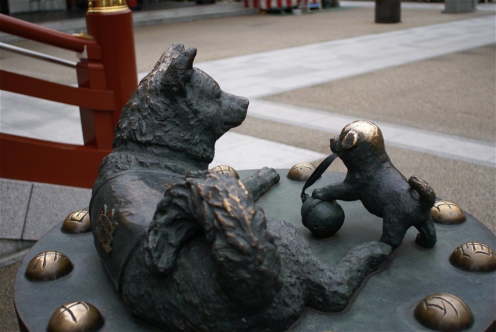 ⛩️ 스이텐구(총본궁) 이미지 6