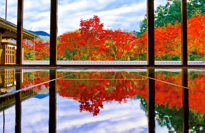 🏯 보덕사(호토쿠지) 이미지 2