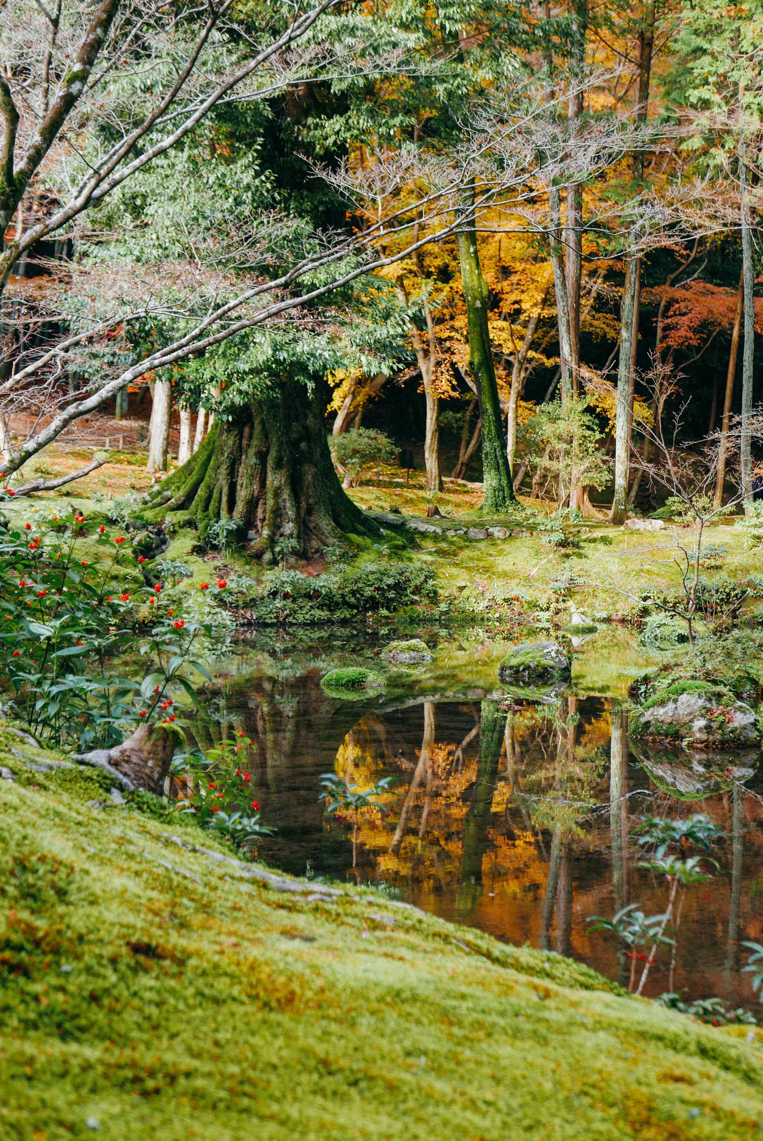 ⛩️ 증성사(쇼조지) 이미지 1