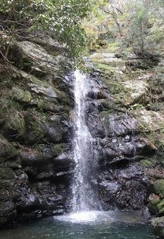 🏯 대위덕사(다이이토쿠지) 이미지 7