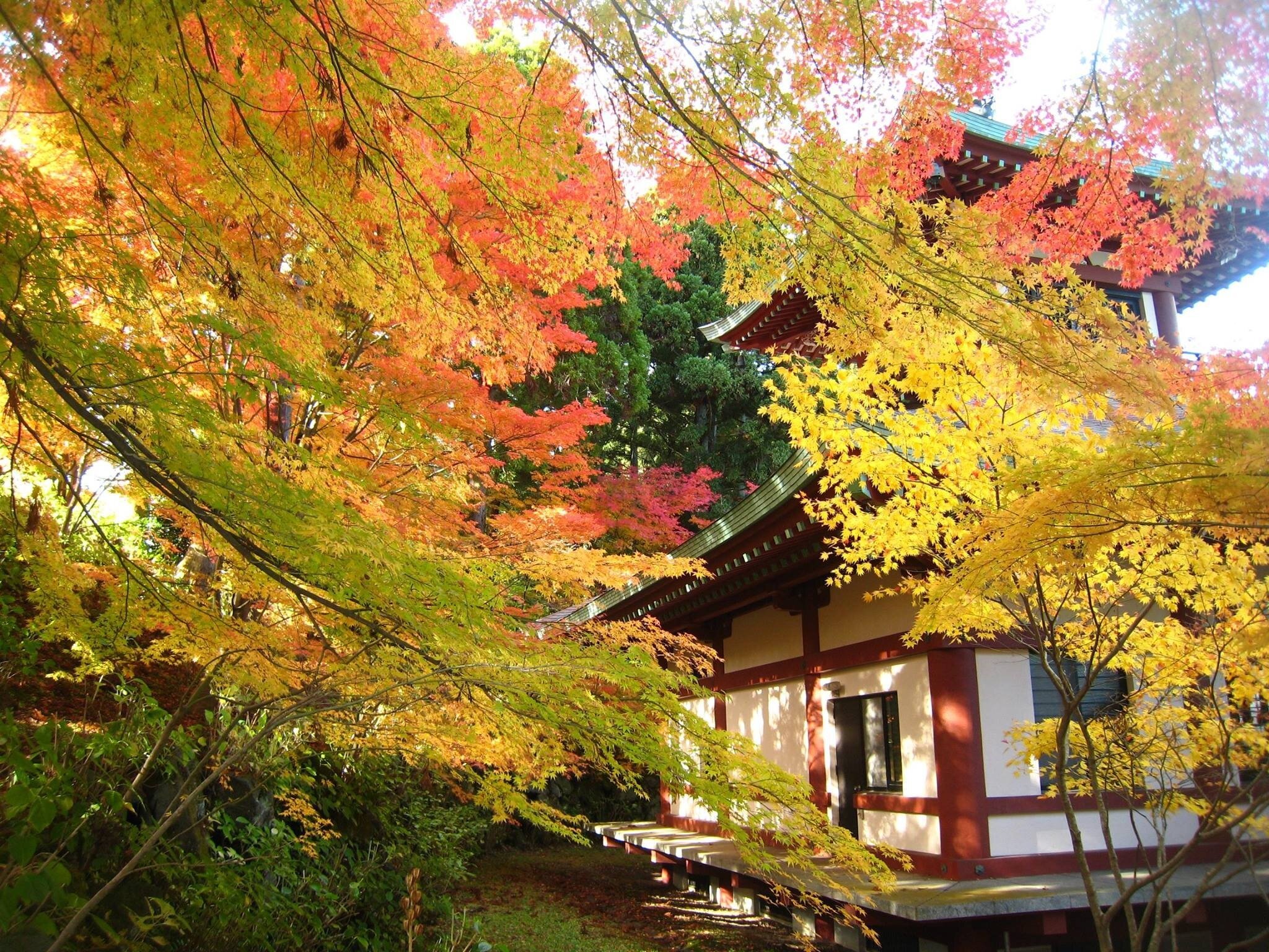 🏯 대룡사(다이류지) 이미지 11