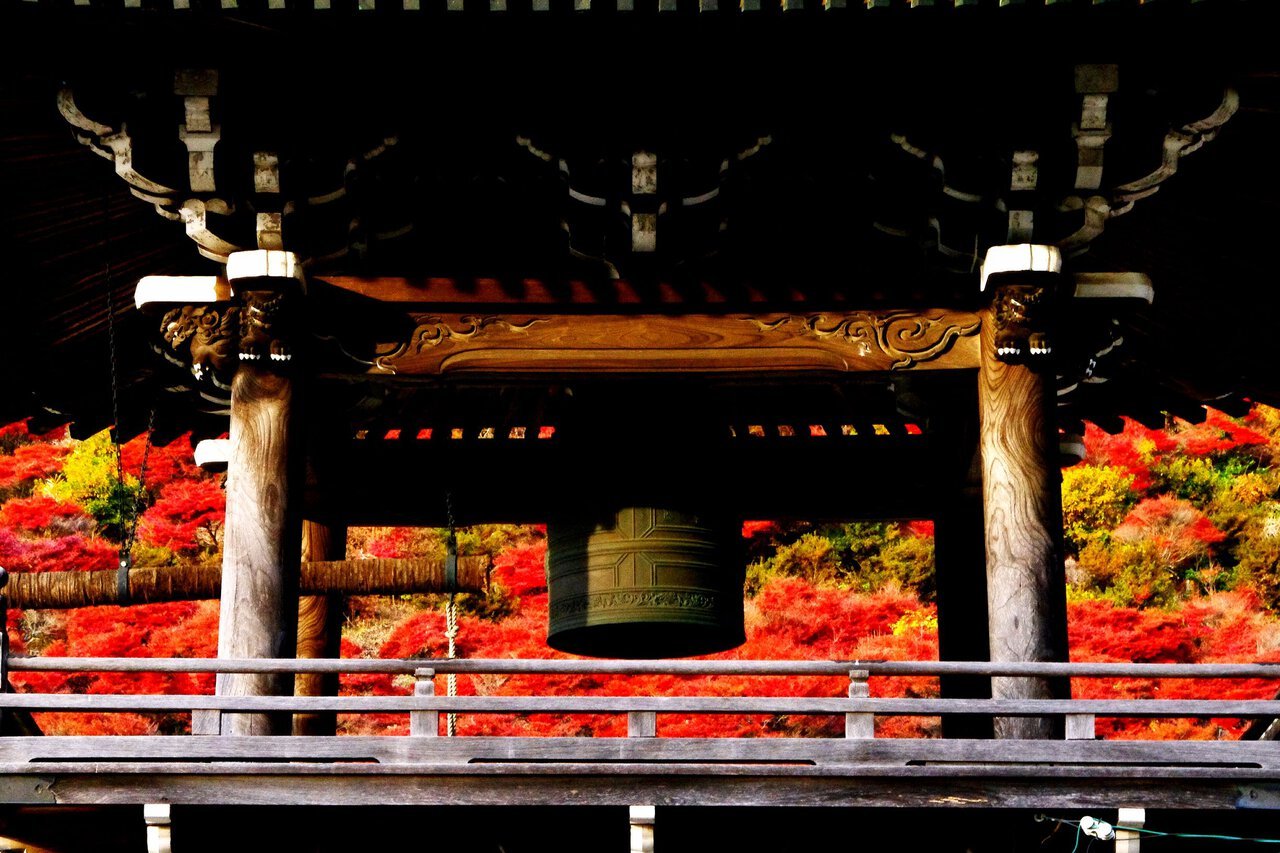 🏯 대룡사(다이류지) 이미지 6