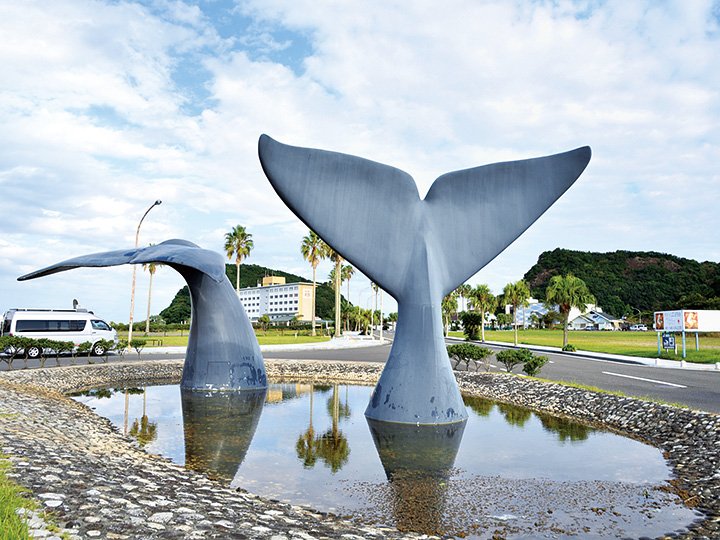 🐋 고래자료관(구지라시료칸) 이미지 4