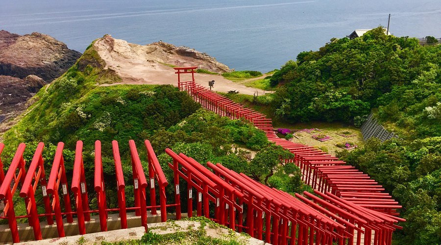 🏞️ 센죠지키 이미지 3