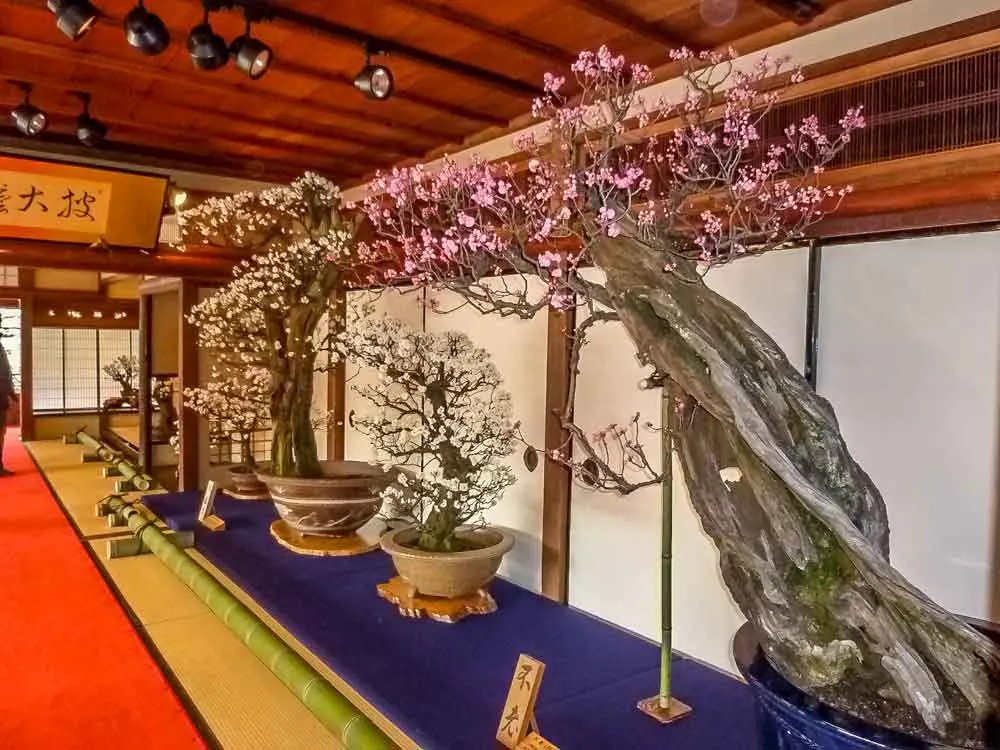 🏛️ 게이운칸 (慶雲館) 이미지 3