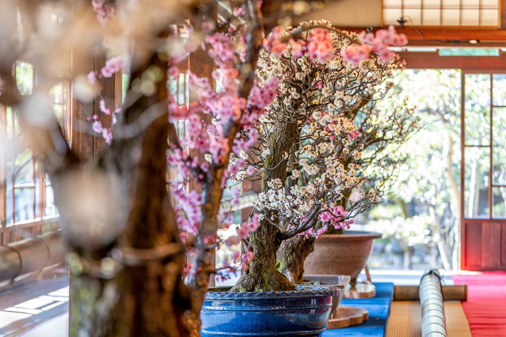 🏛️ 게이운칸 (慶雲館) 이미지 7