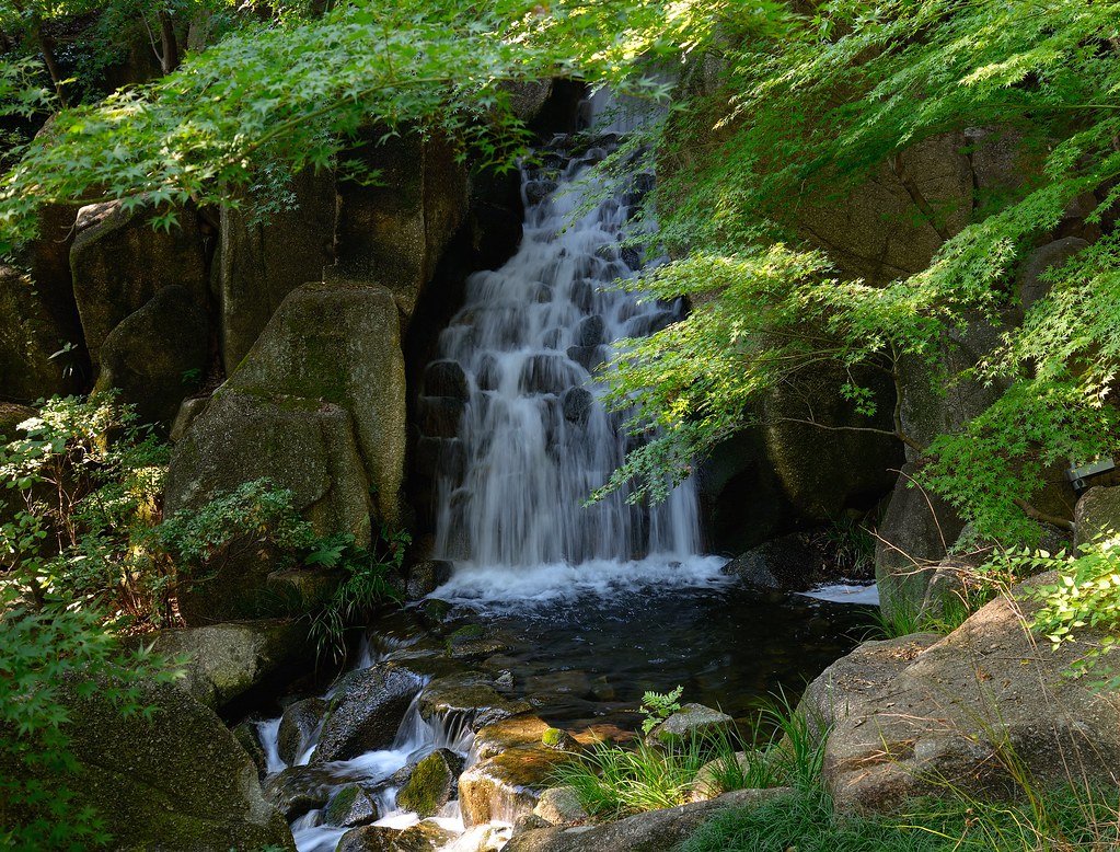 🌸 도쿠가와엔 이미지 7