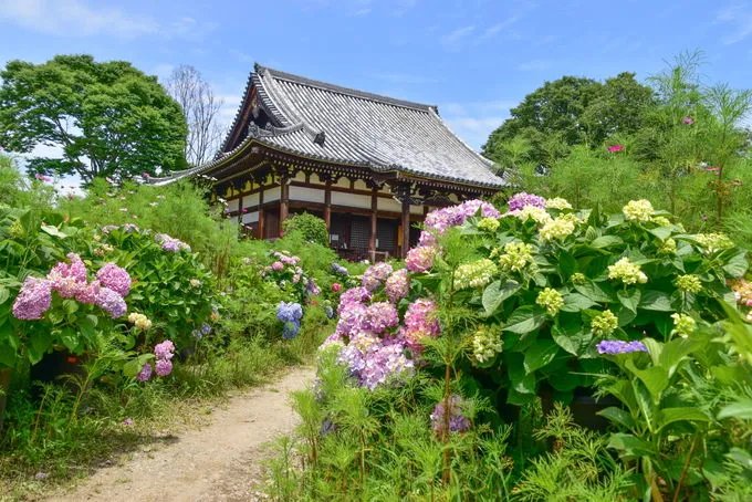 🌸 반냐지(般若寺) 이미지 1