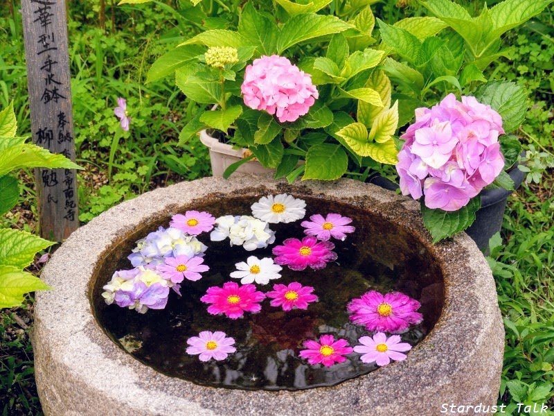 🌸 반냐지(般若寺) 이미지 12