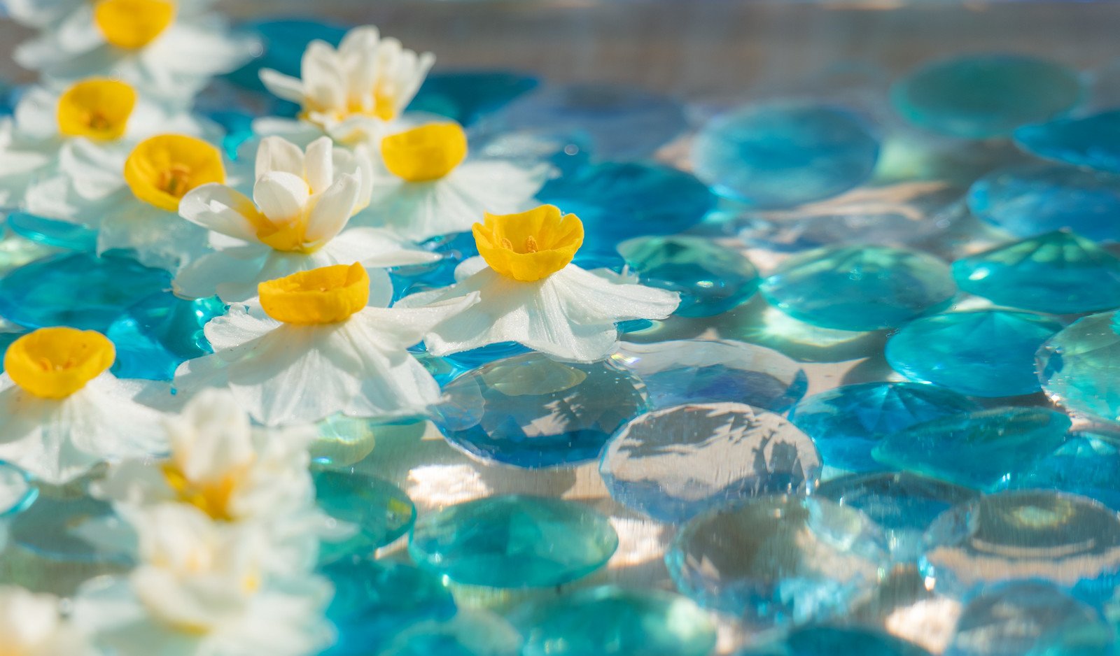 🌸 반냐지(般若寺) 이미지 7