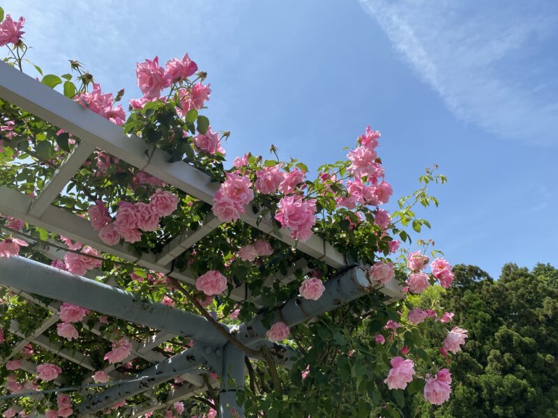 🏯 영산사(료센지) 이미지 6