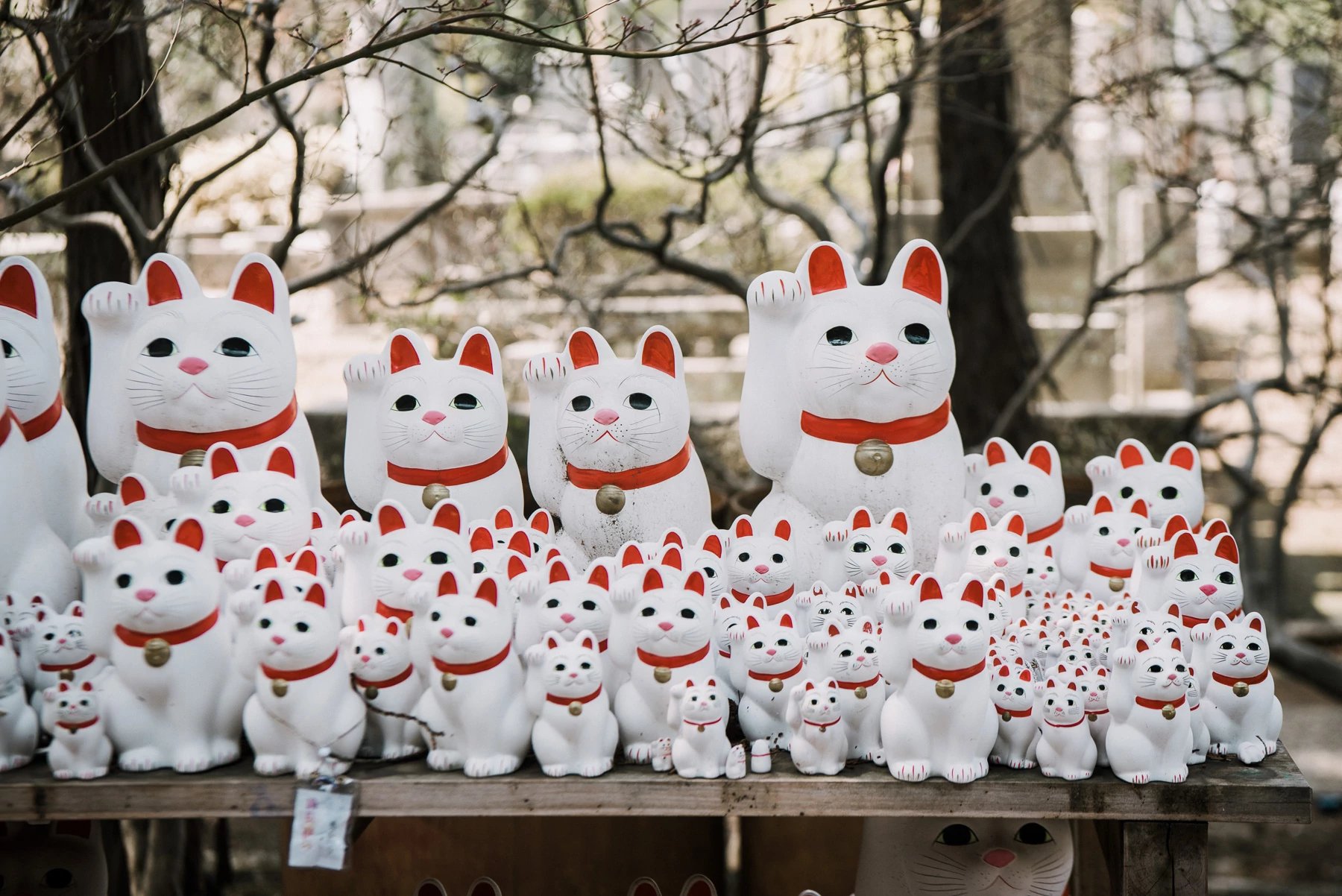 🏯 고마쓰지 이미지 4