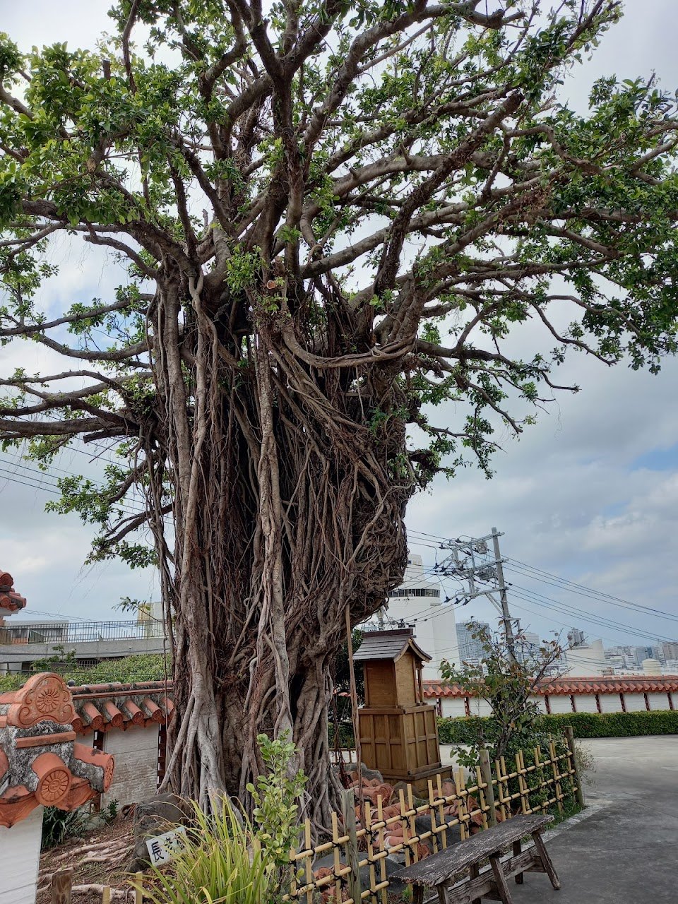 🏯 수리관음당(자안원) 이미지 5