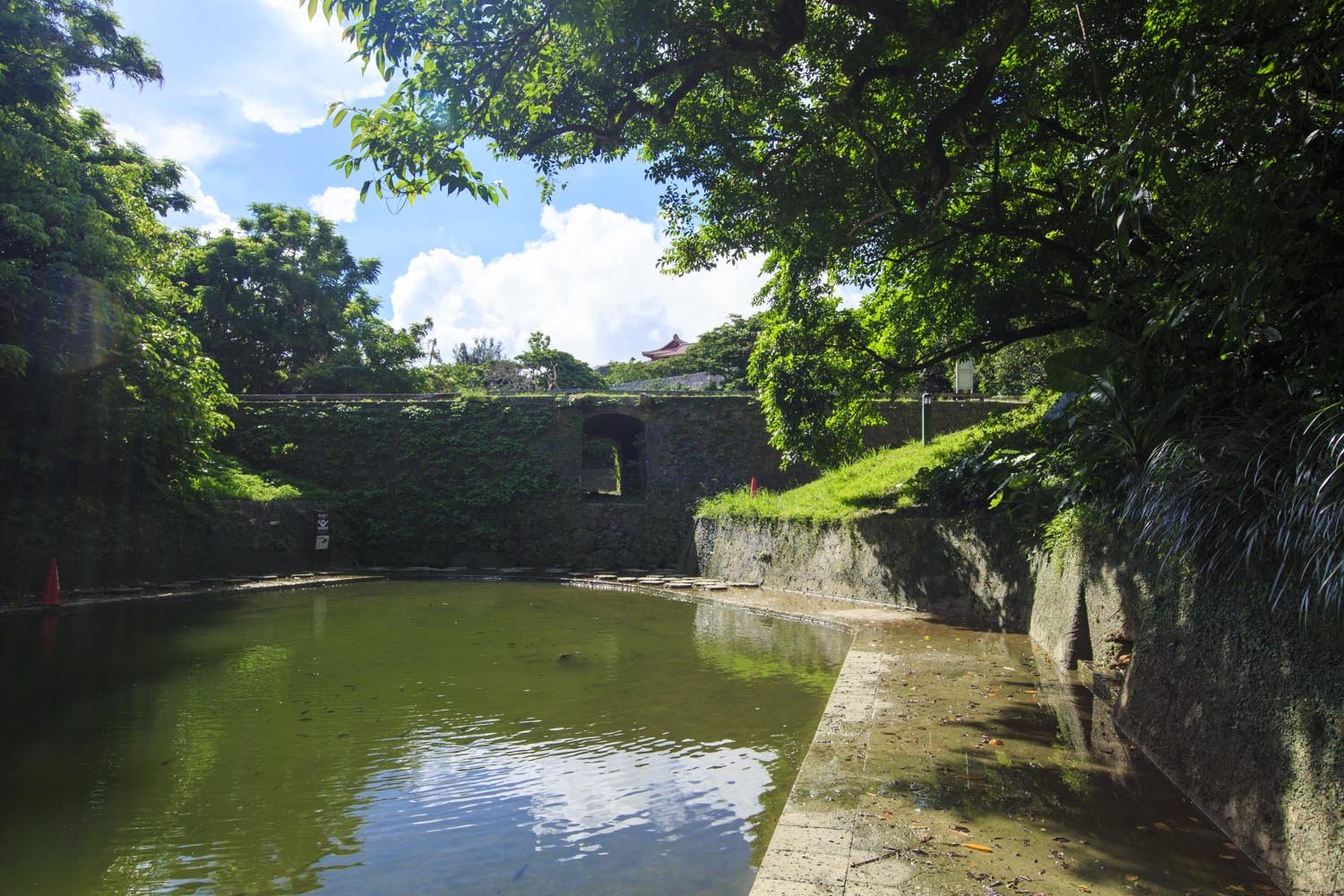 🏞️ 용담(류탄) 이미지 5