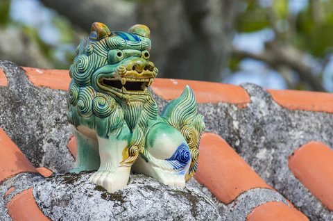 🏞️ 용담(류탄) 이미지 8