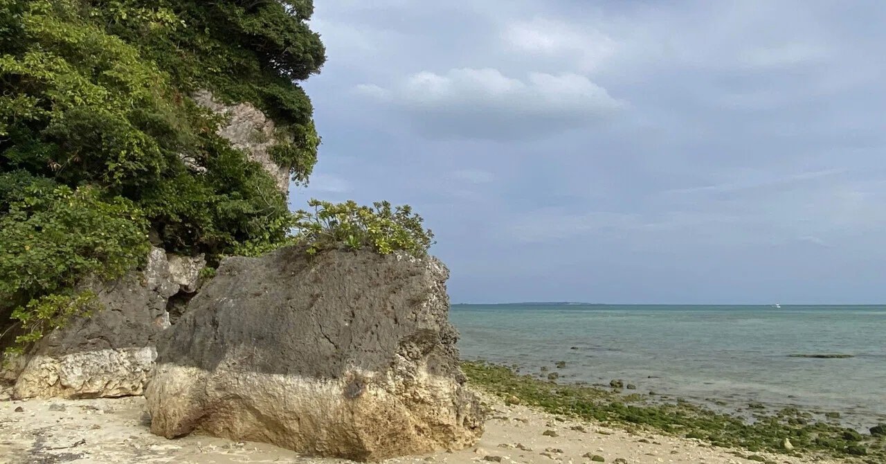 ⛩️ 야하라즈카사 이미지 1