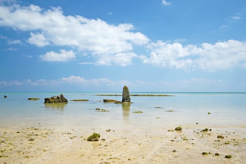 ⛩️ 야하라즈카사 이미지 5