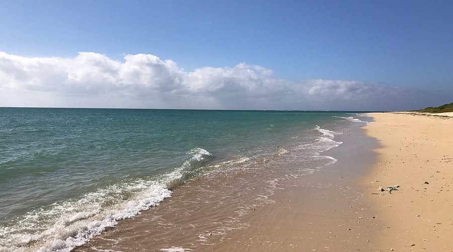 ⛩️ 야하라즈카사 이미지 6