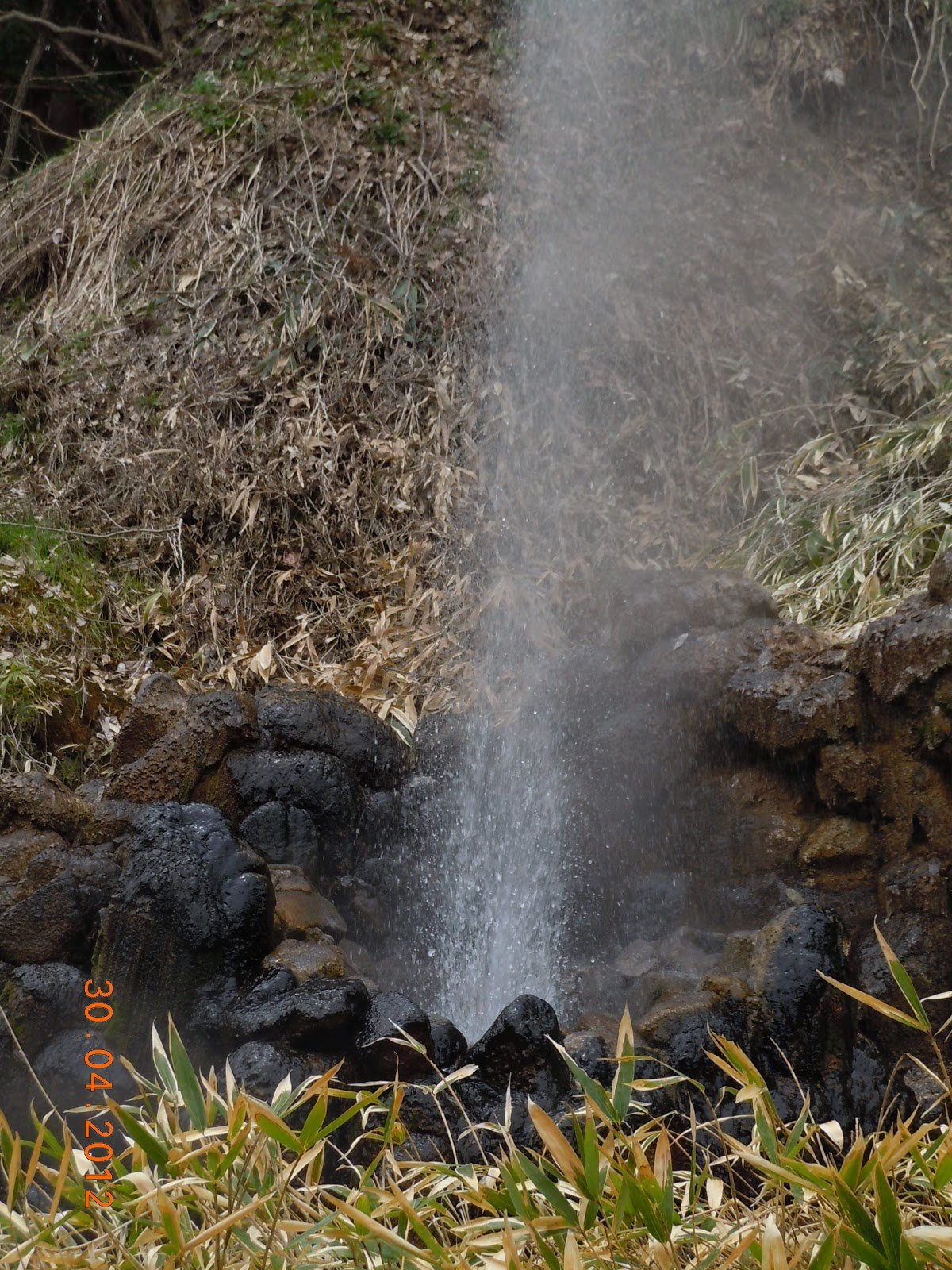 ♨️ 지옥계곡(지고쿠다니) 이미지 7