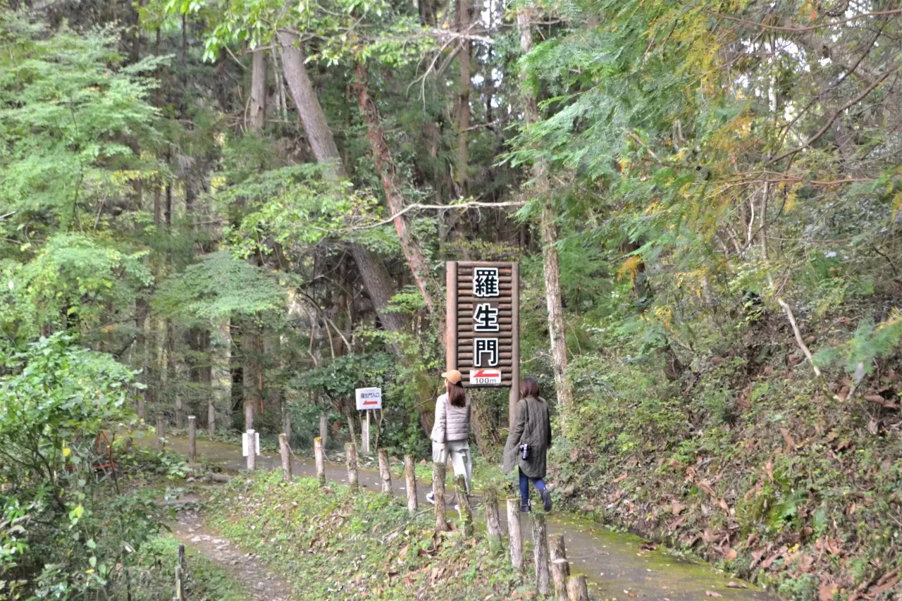 🏞️ 라쇼몬 이미지 7