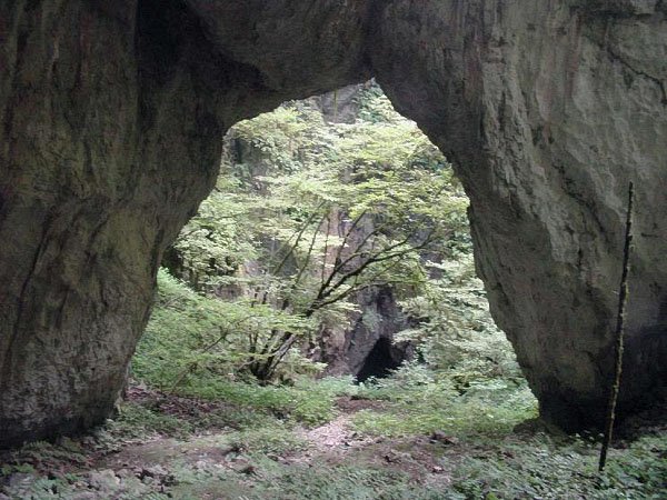 🏞️ 라쇼몬 이미지 8