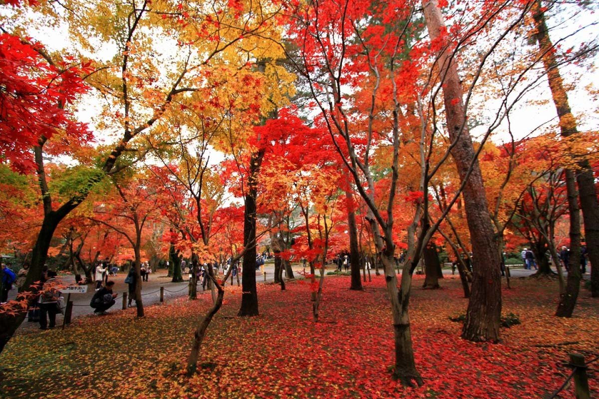 ⛩️ 헤이린지(平林寺)