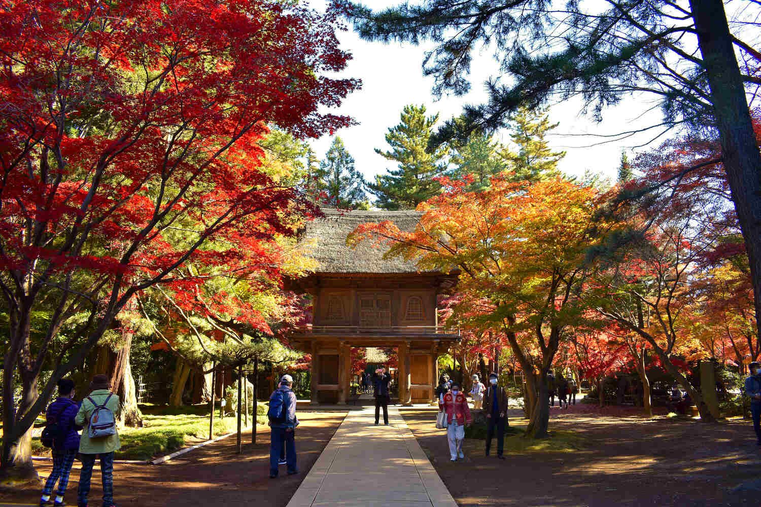 ⛩️ 헤이린지(平林寺) 이미지 4