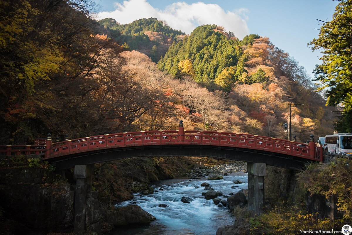 🌉 신교 이미지 4