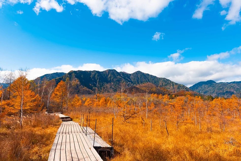 🏞️ 전장터(센조가하라) 이미지 4