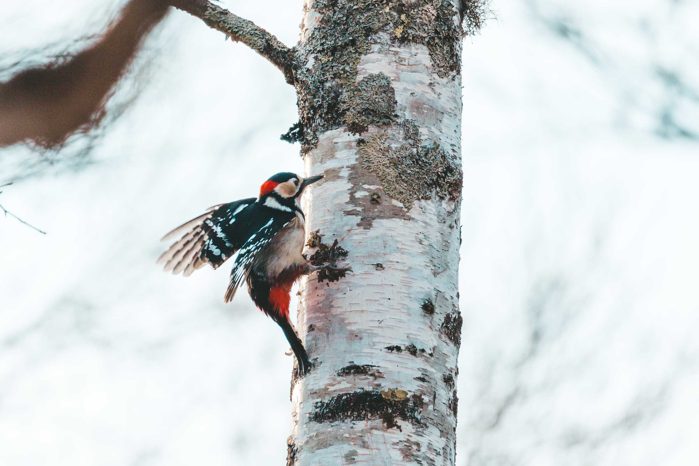 🏞️ 전장터(센조가하라) 이미지 5