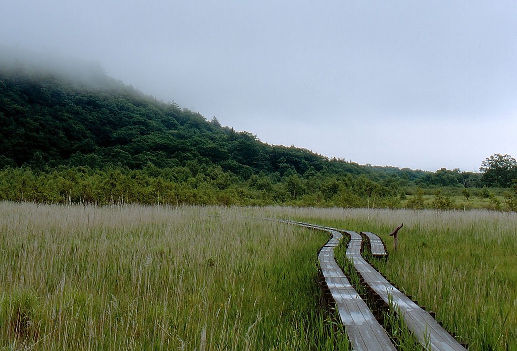 🏞️ 전장터(센조가하라) 이미지 6