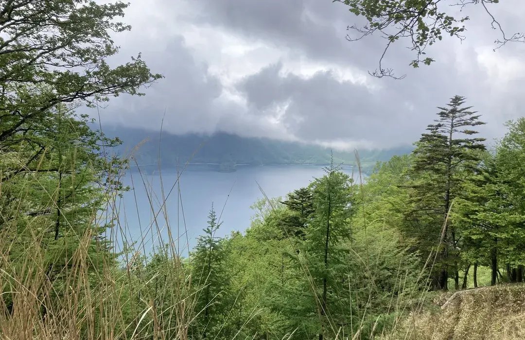 🏞️ 전장터(센조가하라) 이미지 7