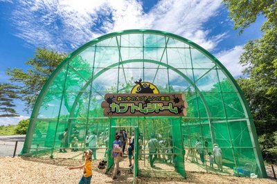 🐞 곤충랜드(무시무시란도) 이미지 2