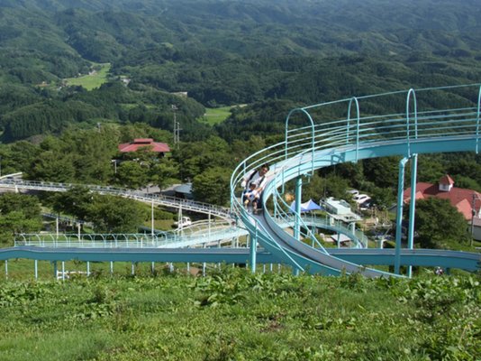 🐞 곤충랜드(무시무시란도)