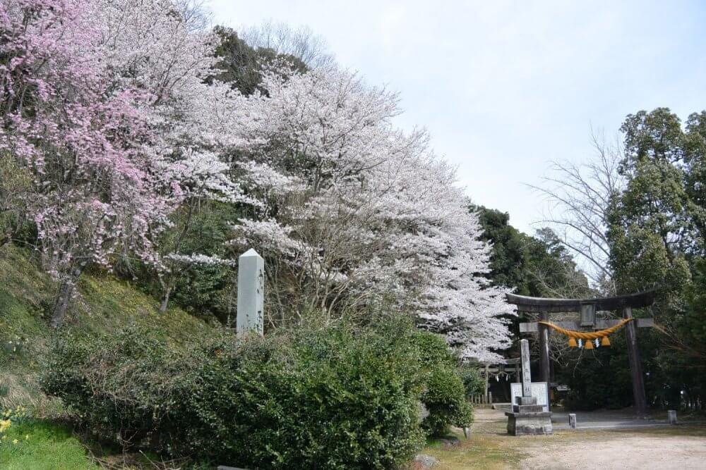 🌳 미네야마공원 이미지 6