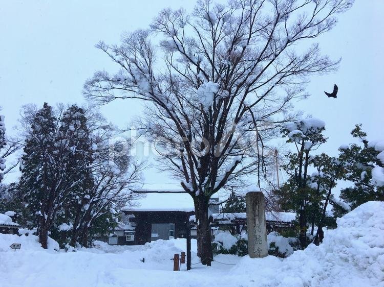 🏯 즈이류지 이미지 6