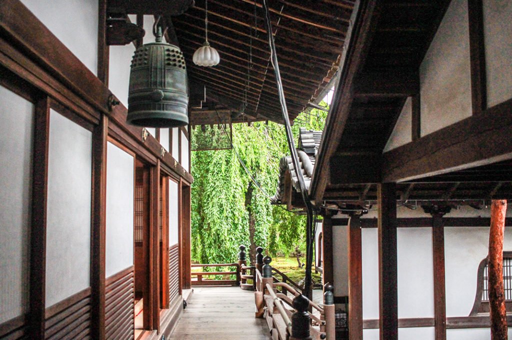 🕌 코야지 이미지 5