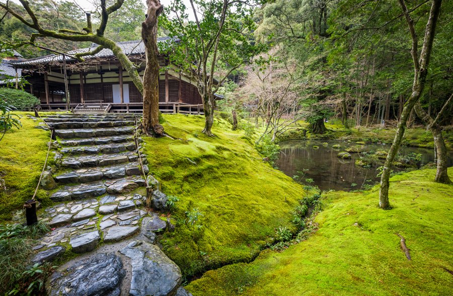 🕌 코야지 이미지 8