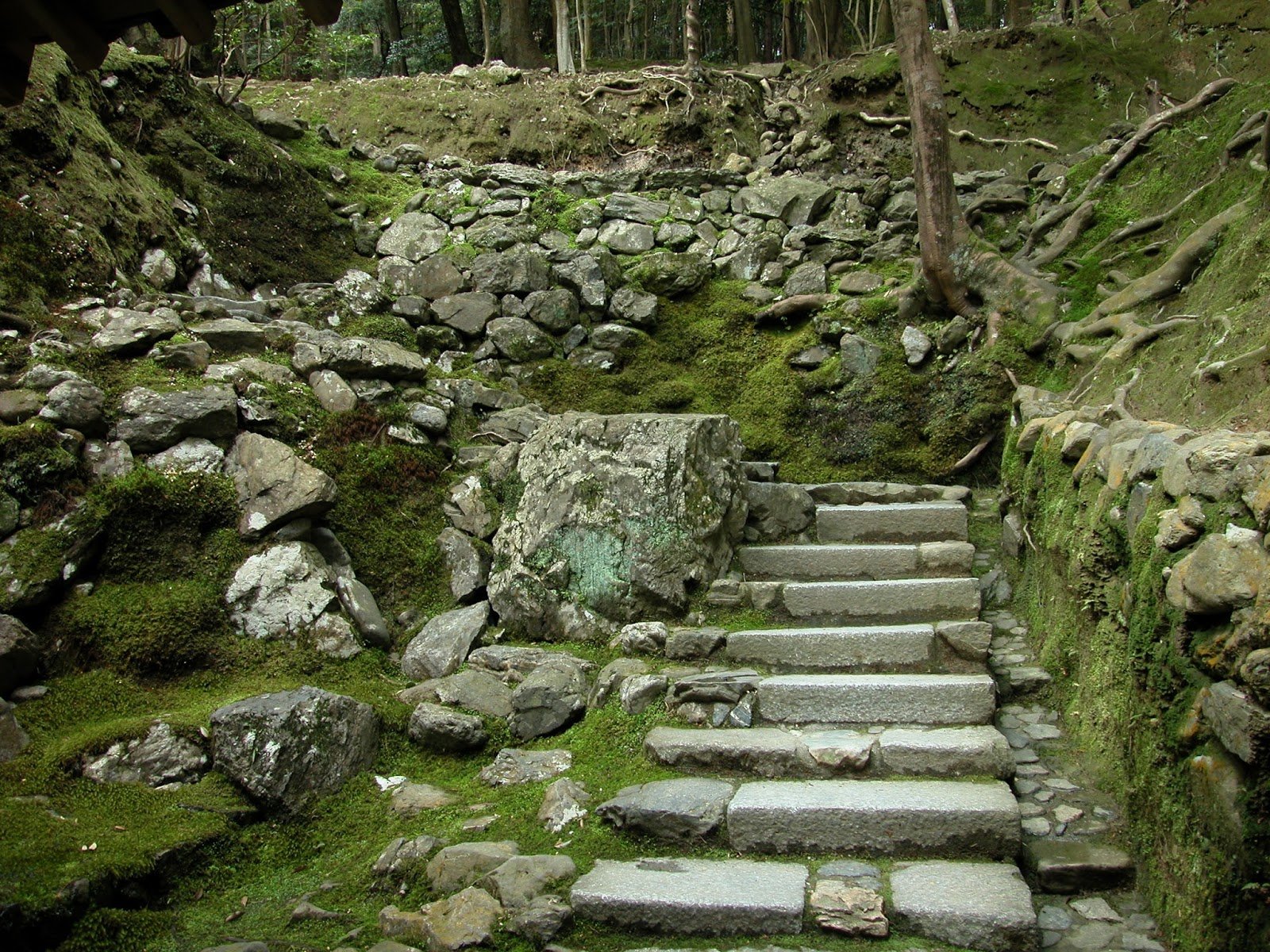 🏯 서방사(사이호우지) 이미지 6