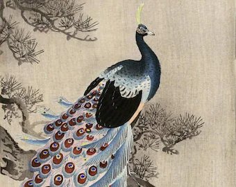 🌸 백호사(뱌쿠고지) 이미지 3