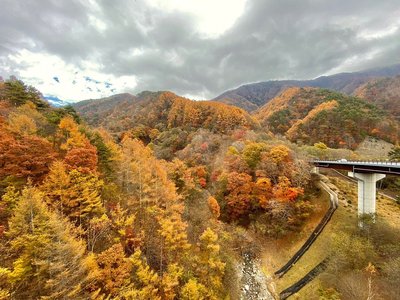 ⛰️ 다이보사쓰산(다이보사쓰레이) 이미지 2