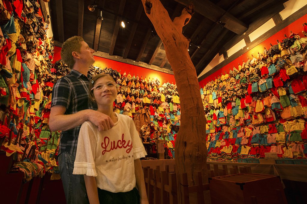 📜 전승원(덴쇼엔) 이미지 6